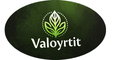 valoyrtit logo 180x60px
