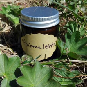 Poimulehtivoide; mm. Haavaumien ja ruhjeiden hoitoon, voi kokeilla jopa pieniä murtumia (esim.”potkitut varpaat” 🙆🏻‍♀️) hoivaamaan. Poimulehti hoitaa ihoa, ihana kasvovoide ja tasaava mm. naisten hormonaalisiin "vaivoihin".